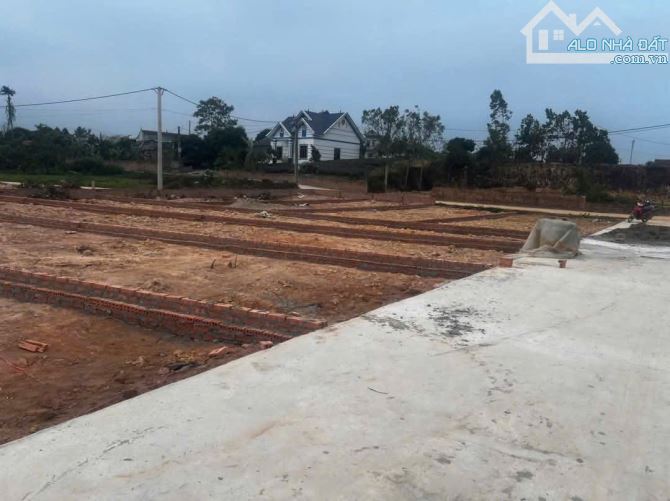 Cắt lỗ đất F0 Thanh Sơn-Minh Phú-Sóc Sơn còn các DT 100m2 giá 1,x tỉ - 3