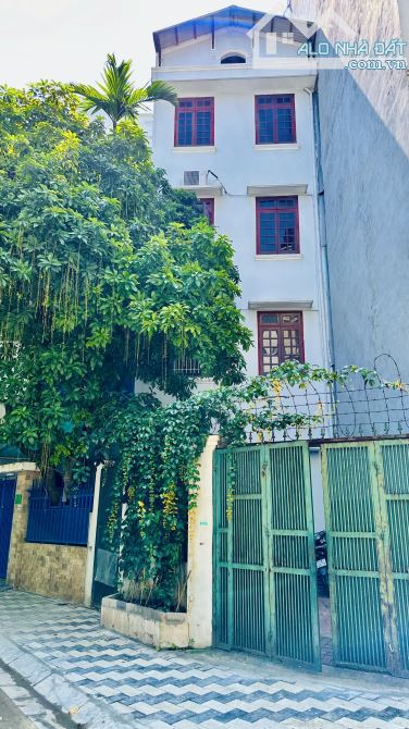 PHÂN LÔ SIÊU HIẾM SIÊU ĐẸP VÕ CHÍ CÔNG - TIỀM NĂNG RỘNG MỞ - 3