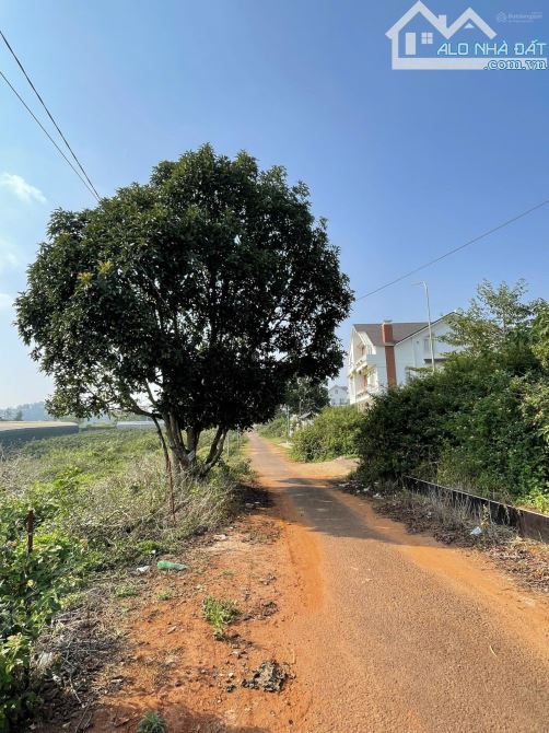 CƠ HỘI ĐẦU TƯ ĐẤT MĂNG LIN PHƯỜNG 7 - ĐẤT BIỆT LẬP 214M2 GIÁ CHỈ 2,2 TỶ - NGAY KHU DÂN CƯ - 3