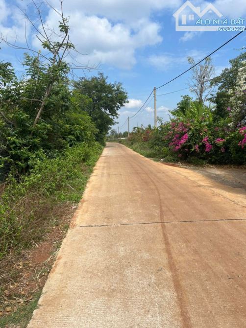 Bán vườn sầu riêng năm thứ 6 tại thôn Cao Thành xã Eakao - 3