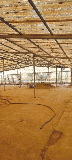 Cho thuê nhà xưởng sản xuất 1,7ha tại xã Sông Trầu Huyện trảng bom giá rẻ - 4