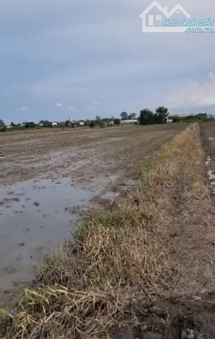 Bán đất nông nghiệp 3900m2, giá 20 tỷ, xã Tân Hiệp, huyện Hóc Môn, TP.HCM - 4