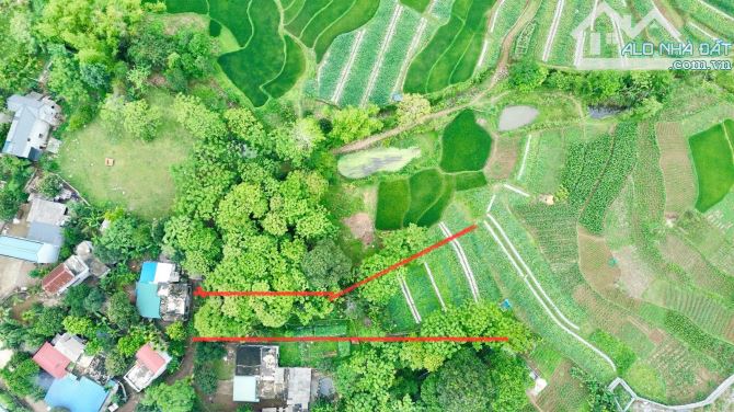 1100m Có 200m Đất Ở - Cách Đường Liên Kết Hà Nội - Kim Bôi 500m - View Cánh Đồng - 5