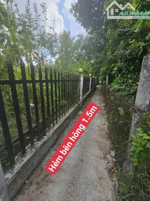 Gần 1000m2 Đất Mặt Tiền Đường Lộ Vòng Cung Thị Trấn Phong Điền Tpct - 5