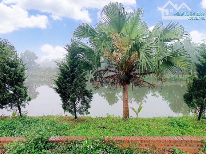 CẦN BÁN ĐẤT SƠN ĐÔNG, SƠN TÂY ,HÀ NỘI 2TỶ4  VIU HỒ (FULL THỔ CƯ ) CẠNH SÂN GOLF SIÊU ĐẸP - 5