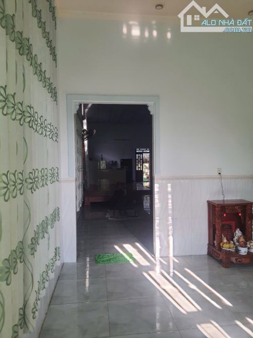 Bán đất 5.500m2_SHR_ tại P.Phước Tân gần Võ Nguyên Giáp giá 15.5 tỉ . - 6