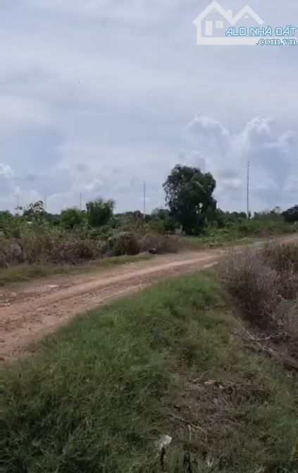 Bán đất nông nghiệp 3900m2, giá 20 tỷ, xã Tân Hiệp, huyện Hóc Môn, TP.HCM - 6