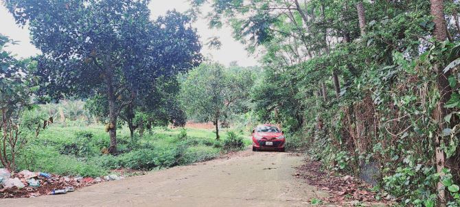 Đất cách TL87 chỉ 300m tại Ba Trại, Ba Vì, Hà Nội.View núi,cánh đồng,trong đất có ao nhỏ - 8