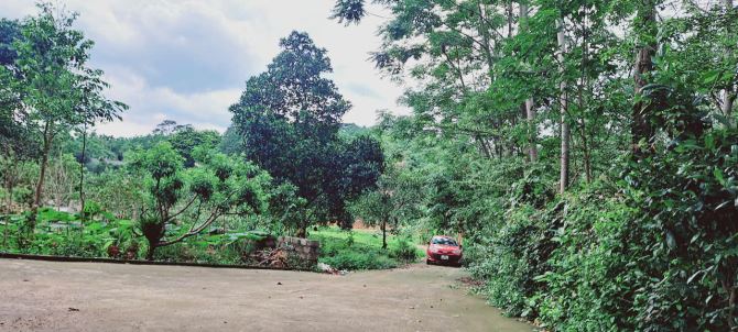 Đất cách TL87 chỉ 300m tại Ba Trại, Ba Vì, Hà Nội.View núi,cánh đồng,trong đất có ao nhỏ - 9