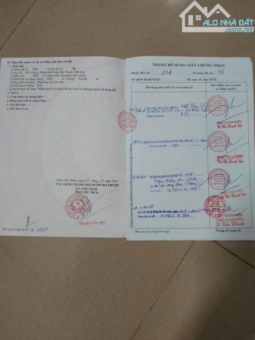 Bán vườn sầu riêng năm thứ 6 tại thôn Cao Thành xã Eakao - 9
