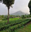 Bán đất thôn 9 xã Ba Trại, 1809m, gần Tản Lĩnh, k9, vuông, nở hậu, view đẹp, chỉ 5.79tỷ