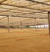 Xt266 Cho thuê xưởng  và khuân viên đất tổng D 17.000m² giá  chỉ 50 triệu/1 tháng  tạ
