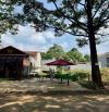 CẦN BÁN ĐẤT MẶT TIỀN Y LINH - TÂN HOÀ - TP BUÔN MA THUỘT