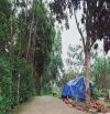 Đất cách TL87 chỉ 300m tại Ba Trại, Ba Vì, Hà Nội.View núi,cánh đồng,trong đất có ao nhỏ