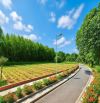 CƠ HỘI VÀNG ĐẦU TƯ BĐS VIEW SÔNG - TẠI NAM PHƯỚC, GIÁ CHỈ 420 TRIỆU