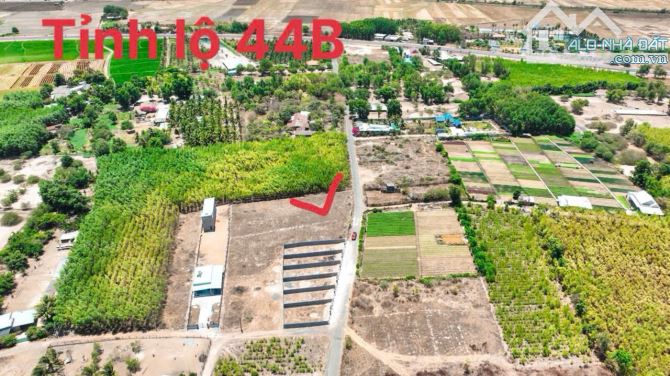 BÁN LÔ ĐẤT ĐẸP NGAY TL44B - TT PHƯỚC HẢI ,LONG ĐẤT , ngang 16,5m x 67m sẵn 100m tc