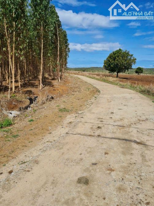 Bán 8 mẫu đất 3 mặt tiền tại Kon Chiêng , MangYang , Gia Lai