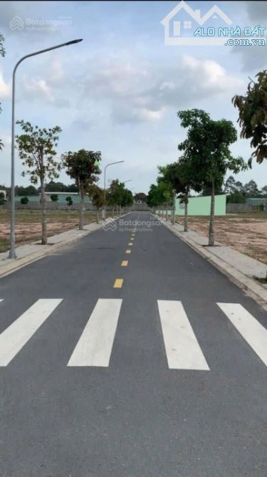 ĐẤT NỀN NHƠN TRẠCH – MẶT TIỀN LÝ THÁI TỔ – CƠ HỘI VÀNG CHO NHÀ ĐẦU TƯ THÔNG THÁI