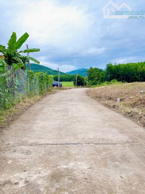 Bán Lô Khánh Trung - Khánh Vĩnh 341m2 Full thổ cư