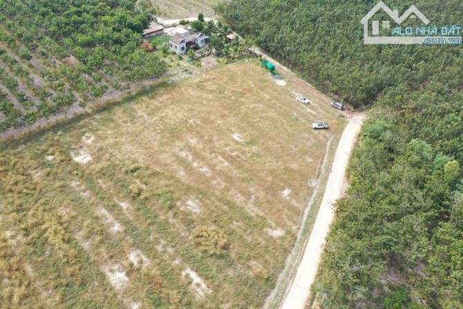 3sào đất đang trồng full cao su cách Dt753 chỉ 100m giá 4xx/sào