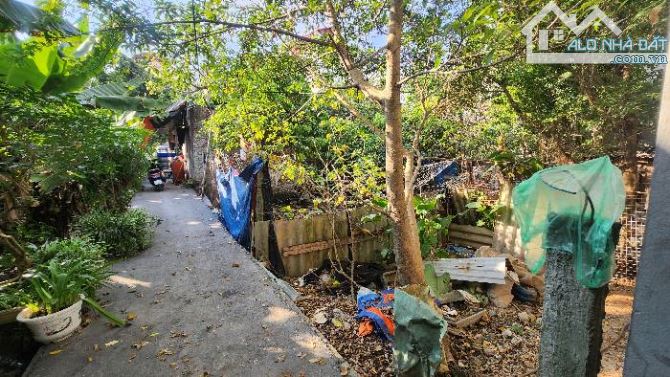 BÁN ĐẤT TÂY MỖ 10M RA MẶT ĐƯỜNG 70. DT 50M FULL THỔ CƯ. MT 4.8M . GẦN VINCOM. GIÁ 5 TỶ.