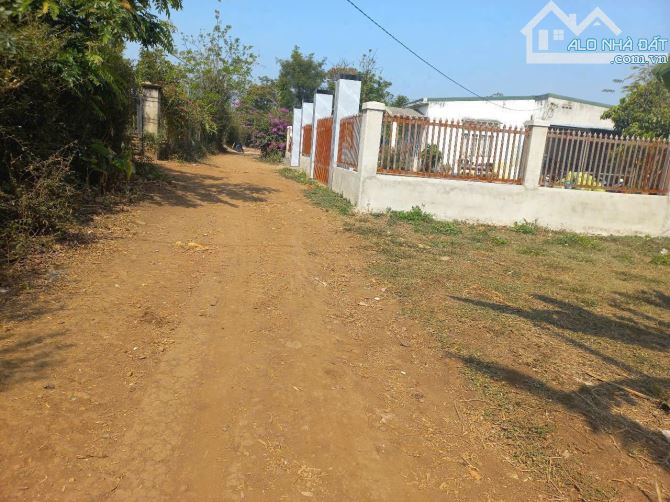 Siêu phâm 3 lô liền kề Tara Hoà Đông Viwe cánh đồng nhìn thấy hồ tara mát mẻ , bao tét giá