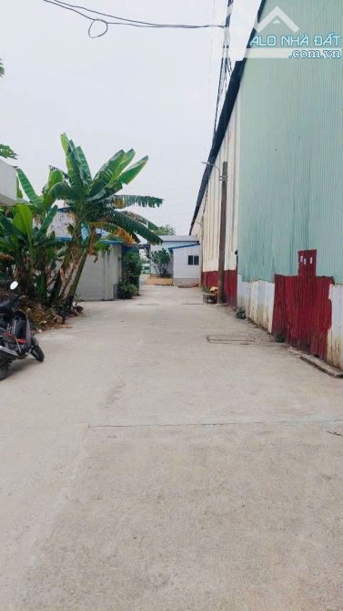 Bán đất Hùng Vương, Hồng Bàng siêu rẻ chỉ 920tr.