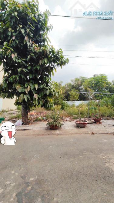Bán gấp đất cát tường phú nguyên 105m 1.450 tỷ