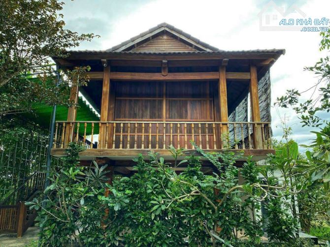 bán nhà vườn tâm huyết đường ô tô vào đến đất