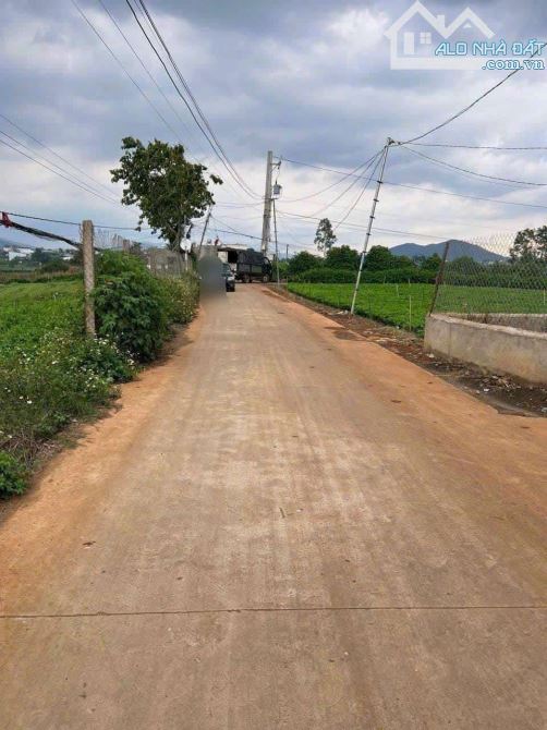 BÁN 483,5m2 ĐẤT XÃ LIÊN HIỆP - ĐỨC TRỌNG - LÂM ĐỒNG .