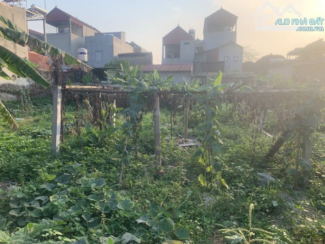 Lô đất to .mặt tiện rộng,Đường oto tránh nhau.121,2m full sổ đẹp sẵn sàng giao dịch .