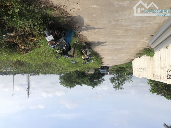 Bán đất hy tái,An Dương, Hải Phòng