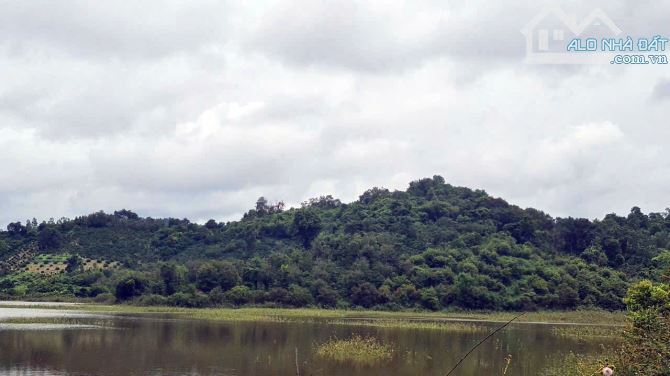 500 ha đất thuê còn 30 năm kề Tỉnh lộ 690, giáp đập Thủy lợi - Huyện Krông Ana - Đăk Lăk,