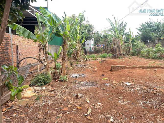 💥Đất 2 mặt tiền,TC 11*27m,Đường B3,Phạm Ngũ Lão thôn 6,gần Vành Đai,