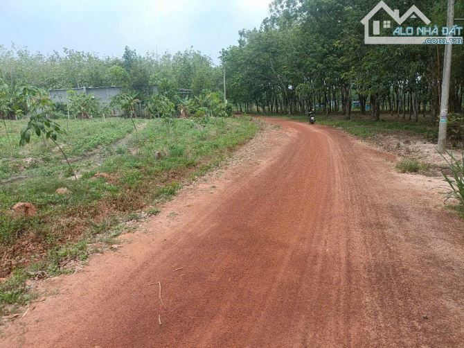 1000m2 gần siêu khu công nghiệp 4200ha Tân hòa Đồng Phú bình phước chỉ 150 triệu