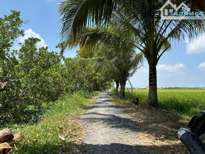 Bán Đất 60x20/25 Kênh 3, Phường 9, Sau Lưng Đại Học Trà Vinh