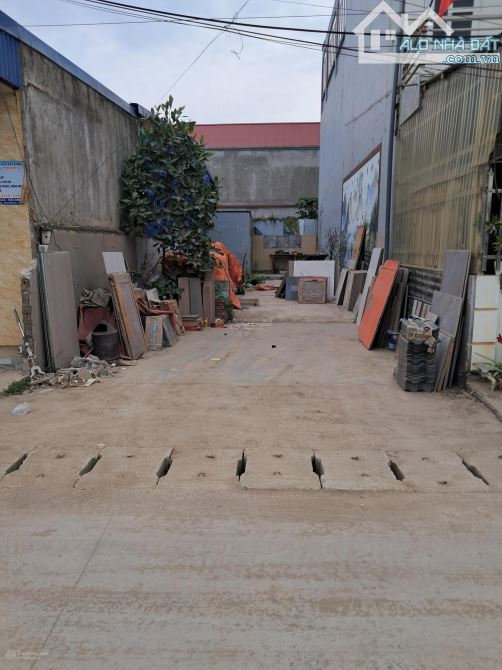 🌟 BÁN LÔ ĐẤT ĐẸP – TRUNG TÂM PHƯỜNG HOA ĐỘNG, THỦY NGUYÊN 🌟