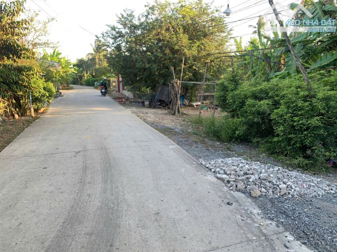 Bán đất MT 832 cũ 12.9x24 giá 1tỷ1 Bình Trinh Đông Tân Trụ Long An