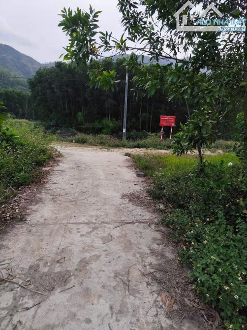 📌📌📌Làm việc trực tiếp!!!Trường định 1000m đất viết tay có tranh giới rõ ràng cách sông