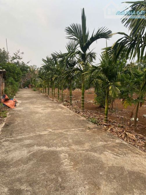Đất hẻm 622 Võ Văn Kiệt cách chợ Duy Hoà 1km
