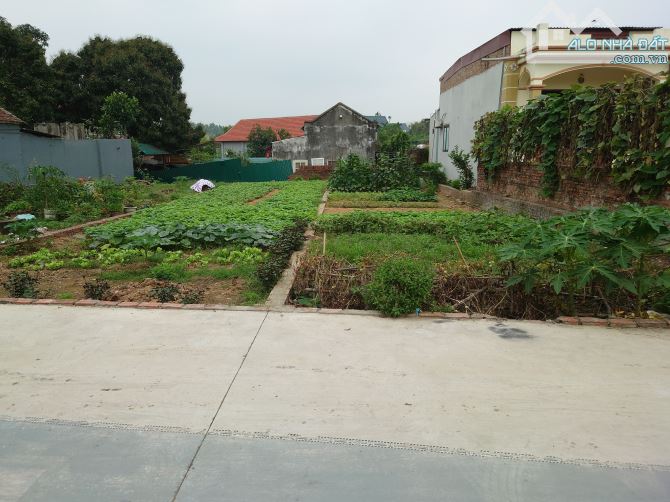 CƠ HỘI VÀNG! BÁN GẤP LÔ ĐẤT 80M² ĐƯỜNG HẬU DƯỠNG, KIM CHUNG