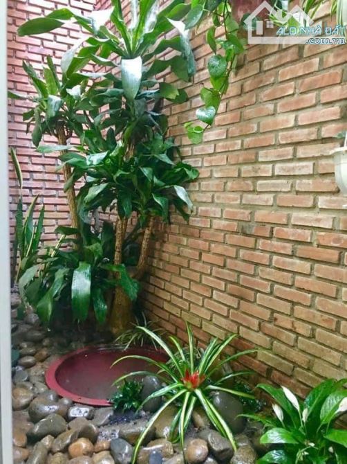 Cơ Hội Đầu Tư Vàng - Homestay Mặt Tiền Đường Cổ Loa, Phường 2, Đà Lạt - 10