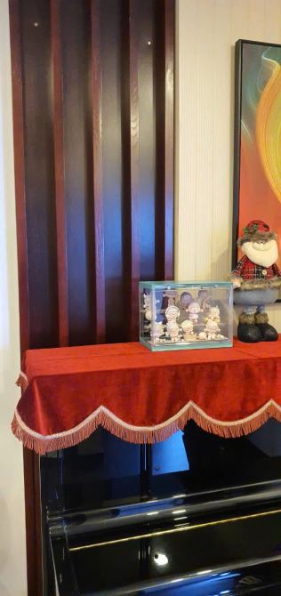 ✨🏡 BÁN NHÀ PHỐ MẶT TIỀN PHAN ĐÌNH PHÙNG - PHƯỜNG 2, ĐÀ LẠT ✨ - 11