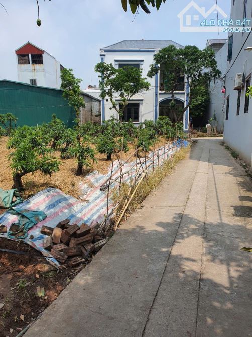 Bán đất Vân Tảo Thường Tín 60m², ô tô vào đất, ngay sát trục chính, giá chỉ 2,x tỷ - 1