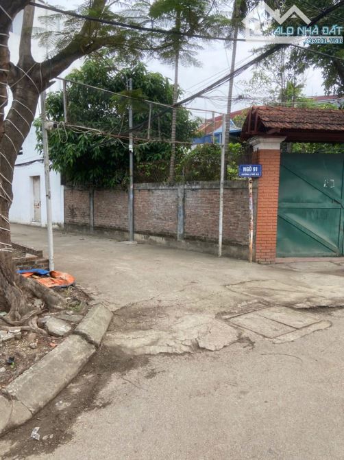 Spcc địa chỉ: 8/91 Phú Xá- Đông Hải 1  🆘🆘🆘 Bán Đất Tặng Nhà Mặt Ngõ 4m 🚗 Ô tô phóng Đấ - 1