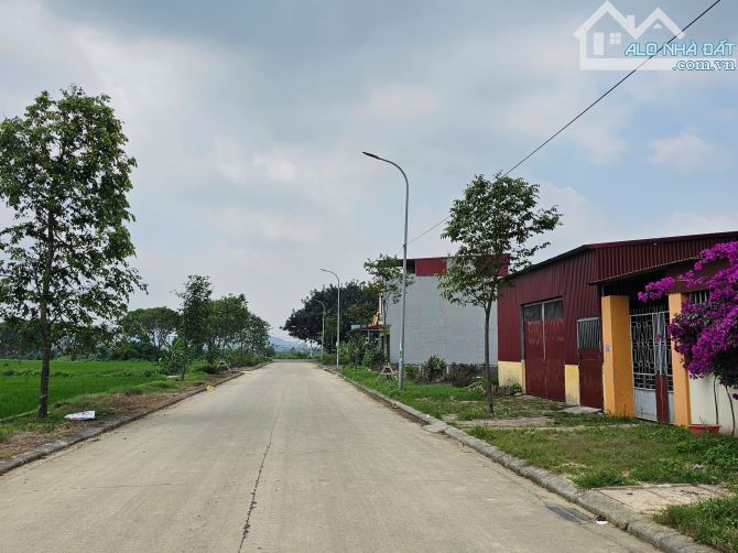 Lô trục chính quỳnh đôi phường kim chân 180m2 mặt 9m giá 4.5 tỷ - 1