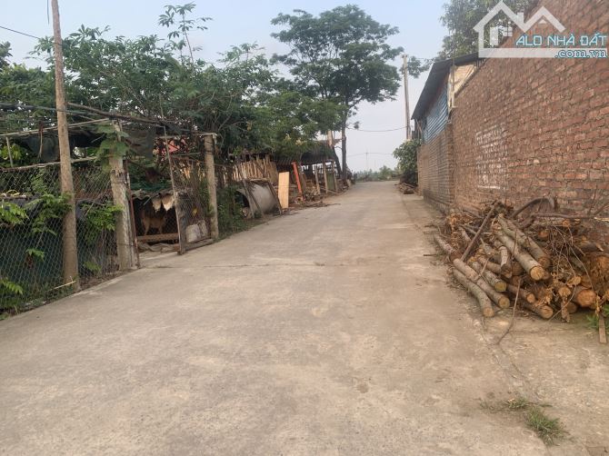 Bán lô đất hai mặt tiền .Giá rất tốt cho nhà đầu tư.50m sổ đẹp Hiền Ninh ,Sóc Sơn . - 1