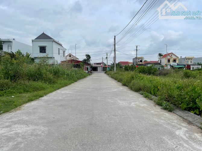 Bán lô đất 186m2 ngang 8 CC Thống Nhất Minh Tân Kiến Thụy giá chỉ hơn 16 triệu - 1