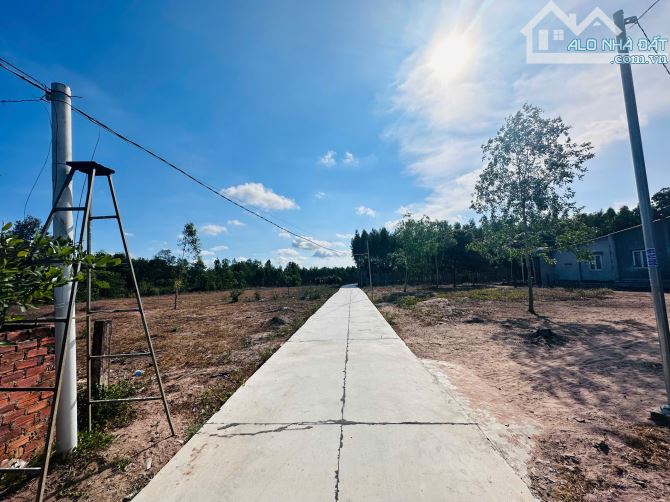 Chỉ 700 triệu sở hữu đất ONT 615m2 Tân Xuân - Hàm Tân bê tông 8m, sổ riêng - 1