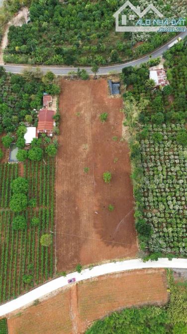 BÁN ĐẤT MẶT TIỀN NHỰA 725 – ĐỐI DIỆN CÀ PHÊ MÊ LINH GARDEN - 1